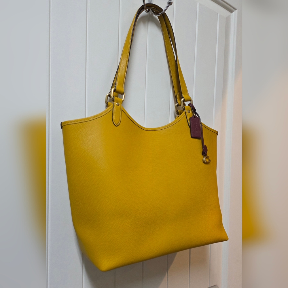COACH L2291 C6337 Day Tote w/removable Zip Pouch NWOT RARE COLOR - Picture 6 of 16